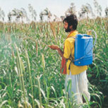 > </div>
<div class=